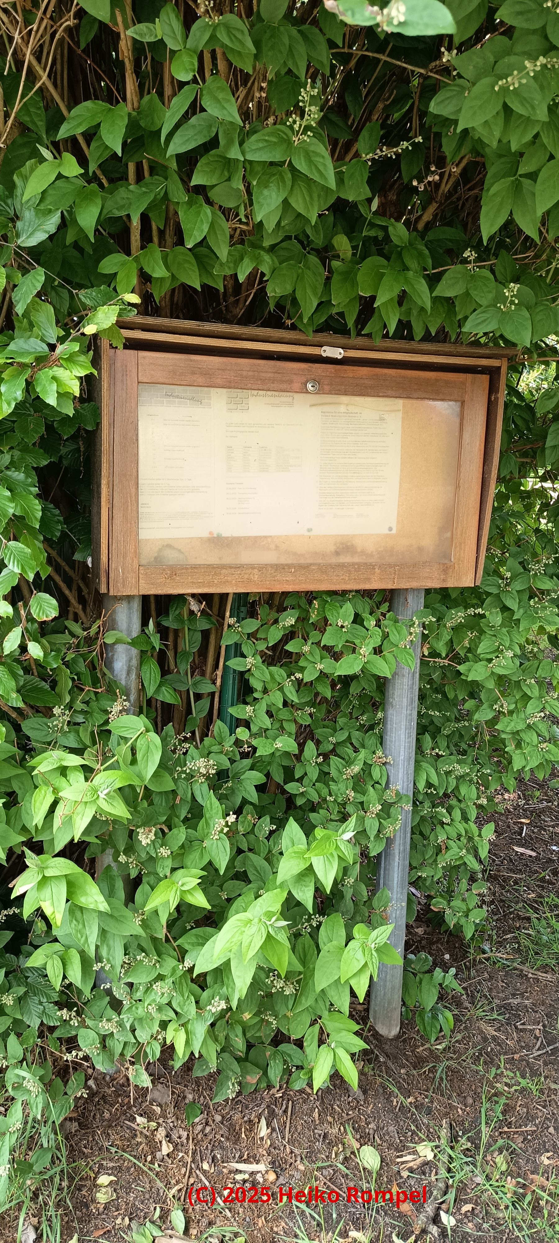 Schaukasten am Kleinbahnweg